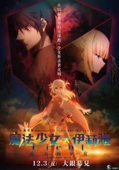 魔法少女伊莉雅：无名少女