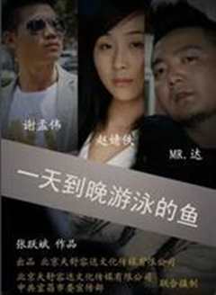一天到晚游泳的鱼
