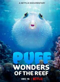 河豚之家：神奇的珊瑚礁