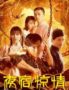 夜宿惊情