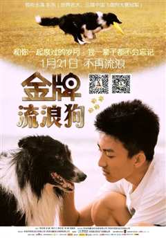 金牌流浪狗