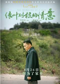 《绿叶对根的情意》