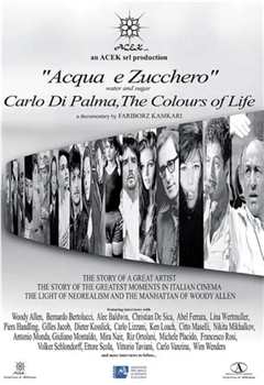 水与糖：摄影家卡洛·迪·帕尔马的生活与色彩 