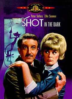 粉红豹系列：黑夜怪枪