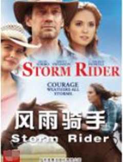 风雨骑手