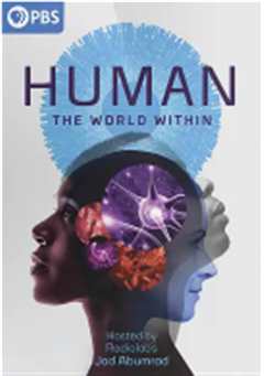 人类：体内的世界