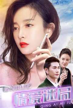 反诈风暴之情爱迷局