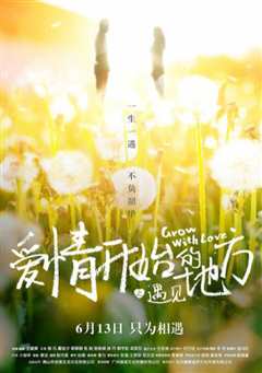 爱情开始的地方之遇见