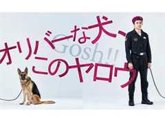 奥莉佛是狗，（天哪！！）这家伙 