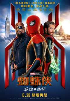 蜘蛛侠：英雄远征