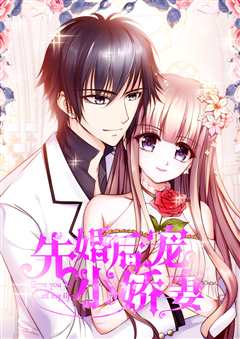 先婚后宠小娇妻第三季