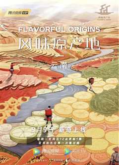 风味原产地·云南