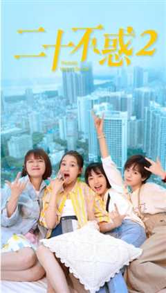 二十不惑2