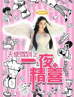 天使驾到之一夜精喜