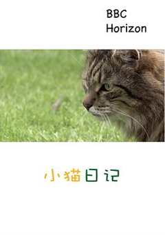地平线系列：小猫日记