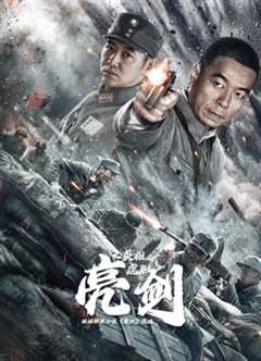 亮剑之英雄虎胆