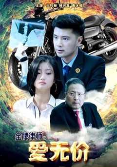 金牌律师之爱无价