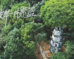 彼岸一片深蓝