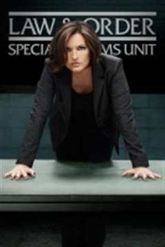 法律与秩序：特殊受害者第十六季