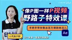 野路子特效课：像P图一样“P”视频
