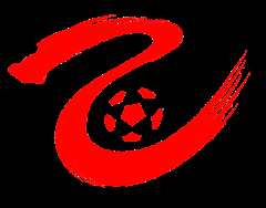 中乙 海口名城尚南堂vs广东广州豹20240415