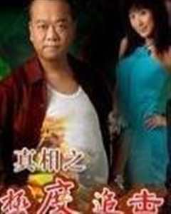 真相之极度追击国语