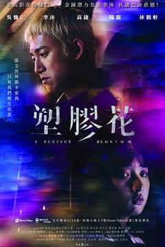 塑胶花[电影解说]