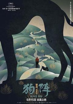 狗阵2024[电影解说]