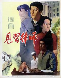 见习律师1982[电影解说]