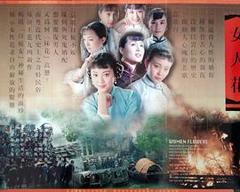 女人花1994[电影解说]