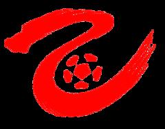 中乙 陕西联合vs上海海港B队20240831