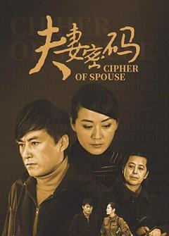 夫妻密码[电影解说]