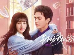 别动我的男主角