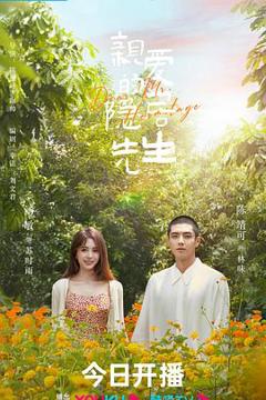 亲爱的隐居先生[电影解说]