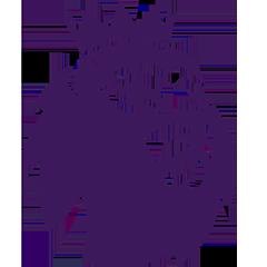 英超 莱斯特城vs南安普顿20250503