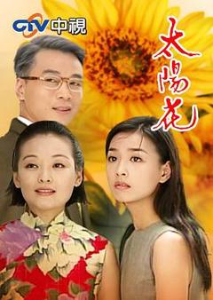太阳花1998