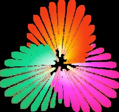 《NBL 合肥狂风峻茂vs长沙勇胜20250722》