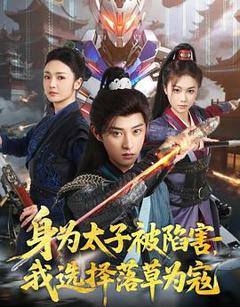 身为太子被陷害，我选择落草为寇