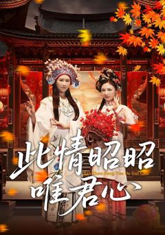 此情昭昭唯君心