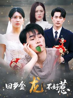 回乡金龙不好惹