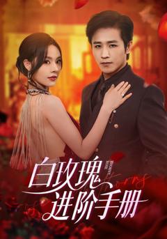 白玫瑰进阶手册