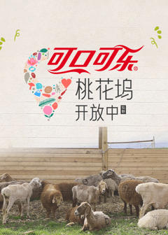 桃花坞开放中第4季