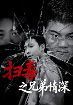 扫毒之兄弟情深