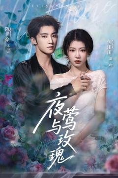 《夜莺与玫瑰》