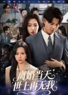 离婚当天世上再无我