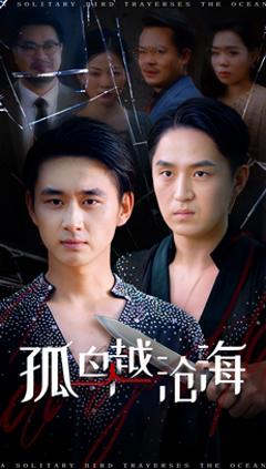 孤鸟越沧海