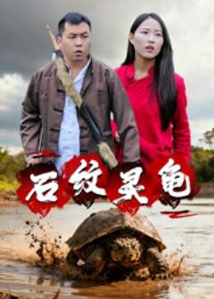 《石纹灵龟》