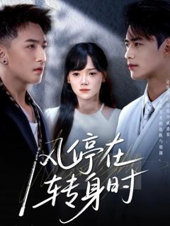 《风停在转身时》