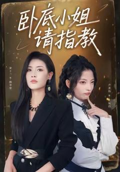 《卧底小姐请指教》