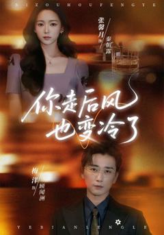 《你走后风也变冷了》